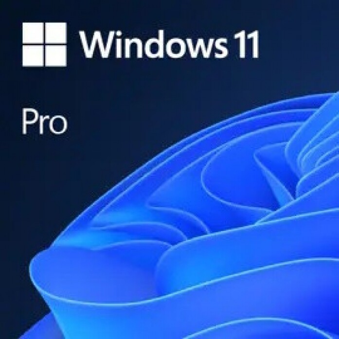 윈도우 10/11 Pro DSP 64비트 / 자사 IPC 제품 구매 한정 설치 서비스